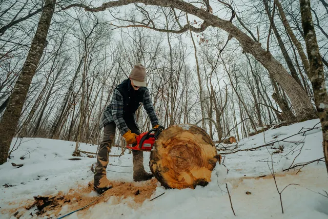 Un travailleur en forêt au Canada